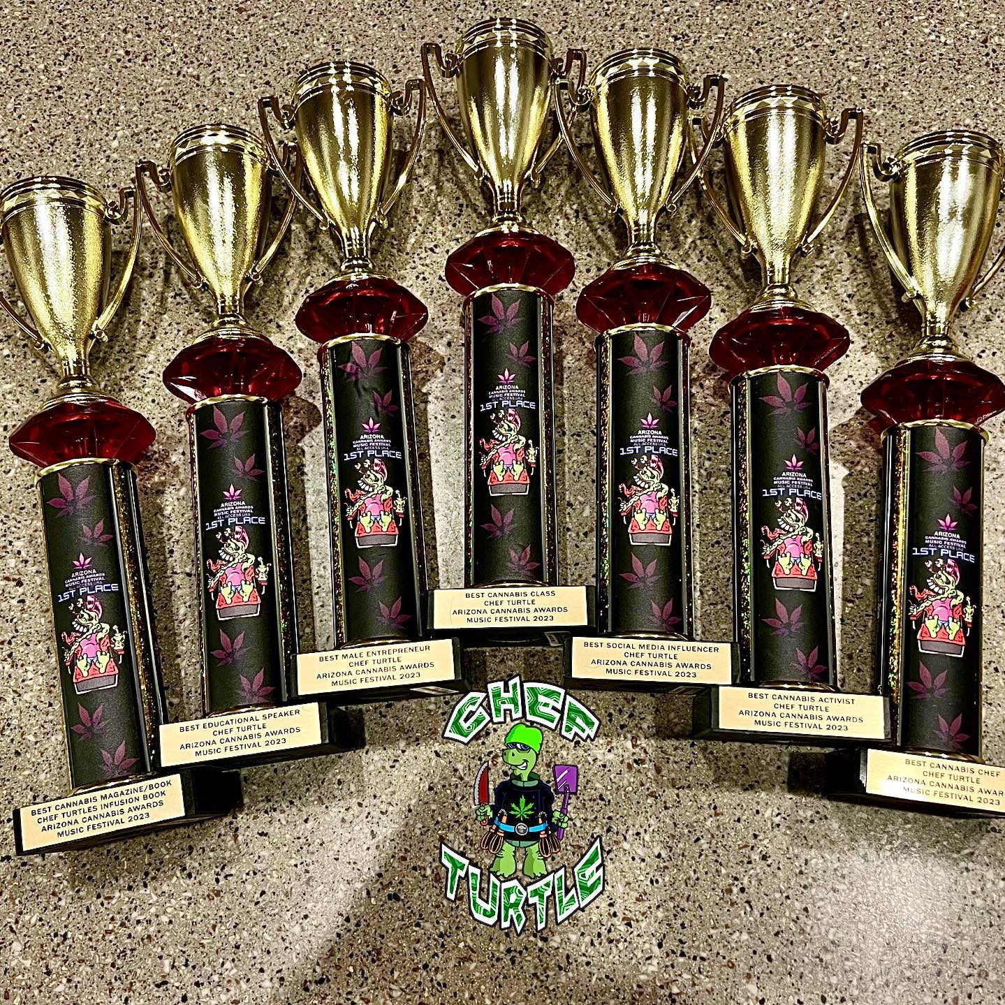 Chef Turtle's Various Awards